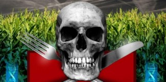 Monsanto y la destrucción del medioambiente: El prontuario de una siniestra corporación